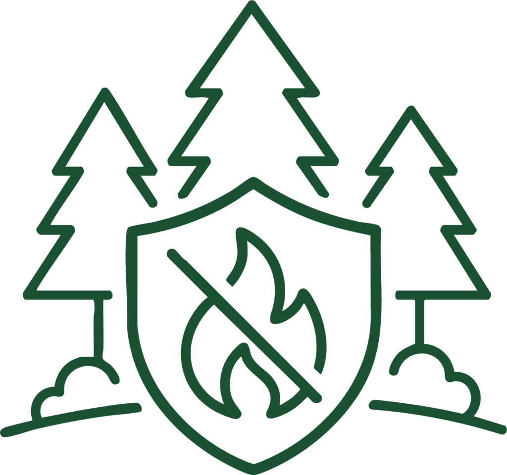 fire prevention system icon