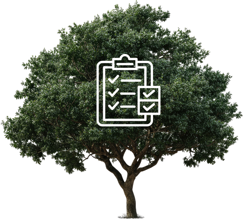 tree with a record icon on it