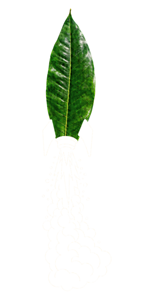 leaf rocket